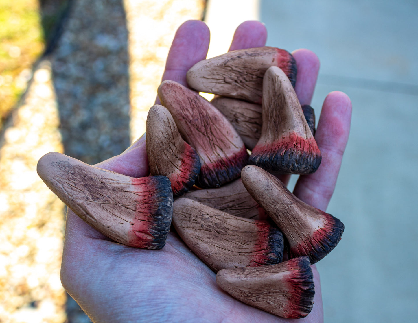 Darth Maul Horns - Custom Made