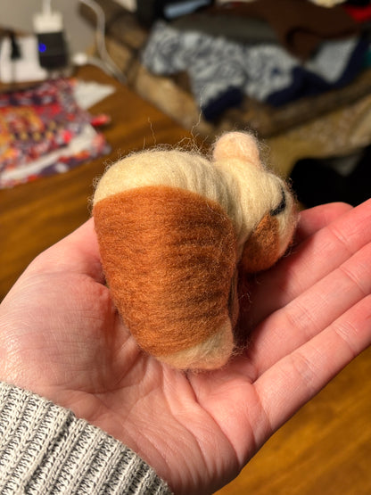 Felt Turtle Duck Avatar the Last Airbender